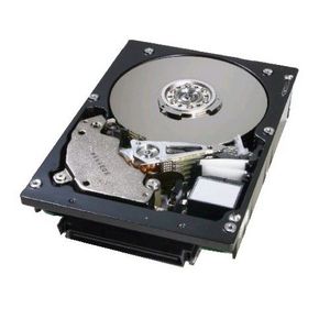 Hgst, A Western Digital Company 17r6390 Ultrastar 10k300 Hard Drive