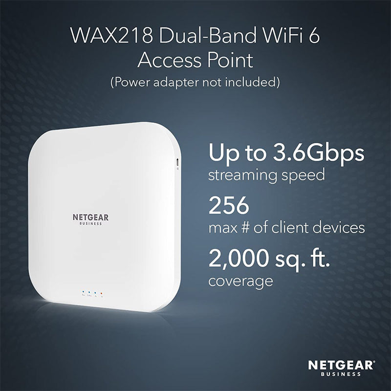 NETGEAR Wireless Access Point (WAX218)